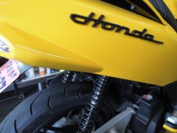 �z���_PCX�i���m�����m�s�j�摜5
