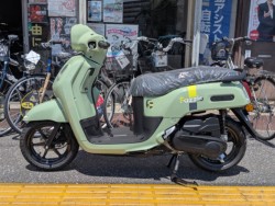 ���}�nFazzio�i���m�����m�s�j�摜8