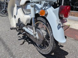 �z���_���g���J�u�i���m�����m�s�j�摜11