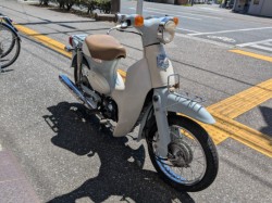 �z���_���g���J�u�i���m�����m�s�j�摜4