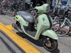 ���}�nFazzio�i���m�����m�s�j�摜2