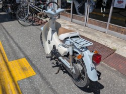 �z���_���g���J�u�i���m�����m�s�j�摜7