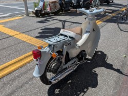 �z���_���g���J�u�i���m�����m�s�j�摜5