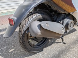 �X�Y�L���b�c4�i���m�����m�s�j�摜12