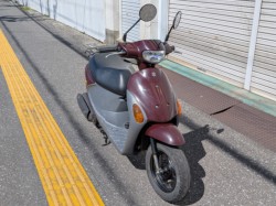 �X�Y�L���b�c4�i���m�����m�s�j�摜4