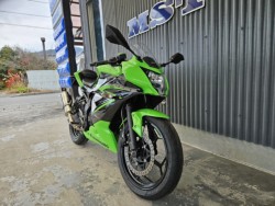�J���T�LNinja250 SL�i���m���y���s�j�摜3
