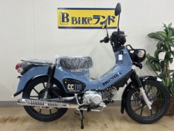 �z���_&nbsp;�N���X�J�u110 