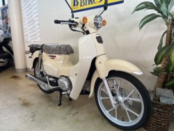 �z���_�X�[�p�[�J�u110�i���m�����m�s�j�摜2