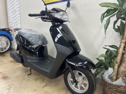 �z���_�^�N�g�E�x�[�V�b�N�i���m�����m�s�j�摜2