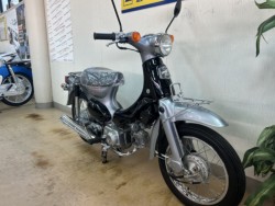 �z���_���g���J�u�i���m�����m�s�j�摜2