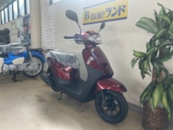 �z���_�^�N�g�i���m�����m�s�j�摜2