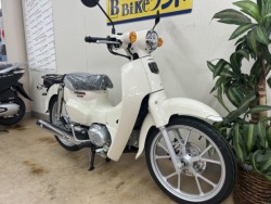 �z���_�X�[�p�[�J�u110�i���m�����m�s�j�摜2