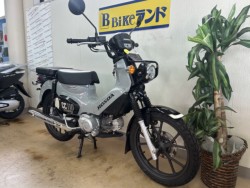 �z���_�N���X�J�u110�i���m�����m�s�j�摜2