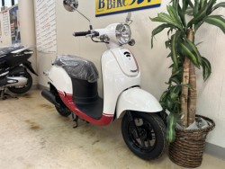 �z���_�W�����m�i���m�����m�s�j�摜2