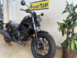 �z���_���u��250�i���m�����m�s�j�摜3
