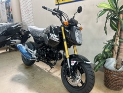 �z���_�O�����i���m�����m�s�j�摜2