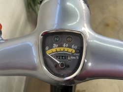 �z���_���g���J�u�i���m�����m�s�j�摜3