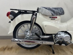 �z���_�X�[�p�[�J�u110�i���m�����m�s�j�摜4