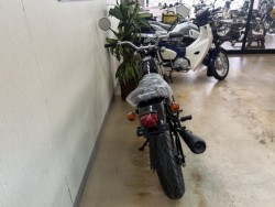 �z���_�G�C�v50�i���m�����m�s�j�摜4
