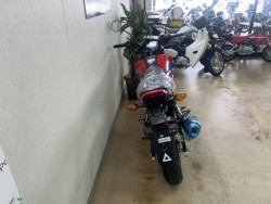 �z���_�O�����i���m�����m�s�j�摜4