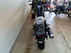 �z���_���u��250�i���m�����m�s�j�摜4