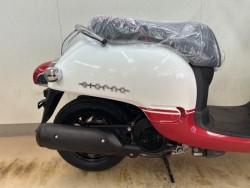 �z���_�W�����m�i���m�����m�s�j�摜5