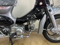 �z���_���g���J�u�i���m�����m�s�j�摜6