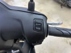 �z���_�^�N�g�i���m�����m�s�j�摜6