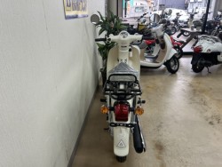 �z���_�X�[�p�[�J�u110�i���m�����m�s�j�摜3