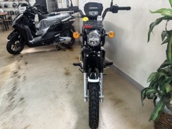 �z���_�N���X�J�u110�i���m�����m�s�j�摜6