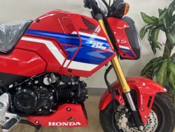 �z���_�O�����i���m�����m�s�j�摜6