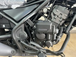 �z���_���u��250�i���m�����m�s�j�摜6
