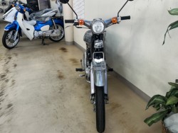 �z���_���g���J�u�i���m�����m�s�j�摜7