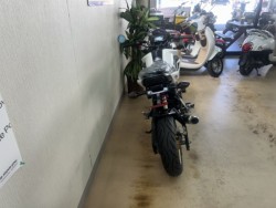 �z���_�O�����i���m�����m�s�j�摜4