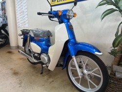 �z���_�X�[�p�[�J�u110�i���m�����m�s�j�摜2