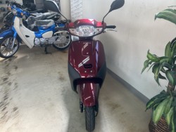 �z���_�^�N�g�i���m�����m�s�j�摜8