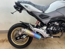 �z���_�O�����i���m�����m�s�j�摜5