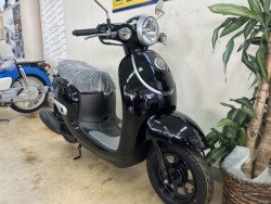 �z���_�W�����m�i���m�����m�s�j�摜2