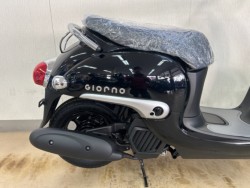 �z���_�W�����m�i���m�����m�s�j�摜5