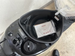 �X�Y�L���b�c�i���m�����m�s�j�摜6