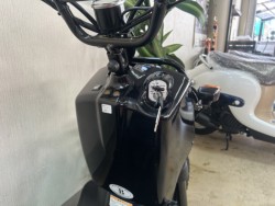 �z���_�Y�[�}�[�i���m�����m�s�j�摜6