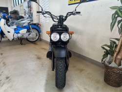 �z���_�Y�[�}�[�i���m�����m�s�j�摜7