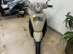 �X�Y�L���b�c�i���m�����m�s�j�摜8