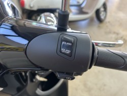 �z���_�W�����m�i���m�����m�s�j�摜9