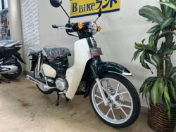 �z���_�X�[�p�[�J�u110�i���m�����m�s�j�摜2