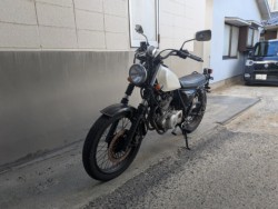 �X�Y�L�O���X�g���b�J�[�i���Q�����R�s�j�摜2