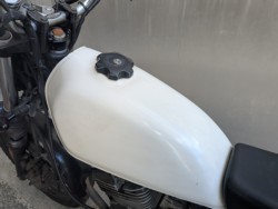 �X�Y�L�O���X�g���b�J�[�i���Q�����R�s�j�摜11