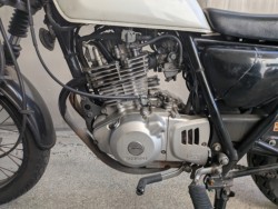 �X�Y�L�O���X�g���b�J�[�i���Q�����R�s�j�摜13