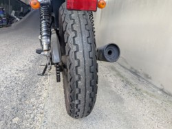 �X�Y�L�O���X�g���b�J�[�i���Q�����R�s�j�摜16