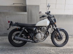 �X�Y�L�O���X�g���b�J�[�i���Q�����R�s�j�摜17